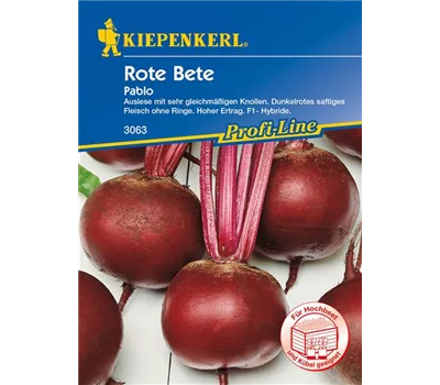 Rote Rübe 'Pablo' Rote Rübe 'Pablo'