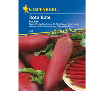 Rote Beete 'Rocket' Rote Beete 'Rocket'