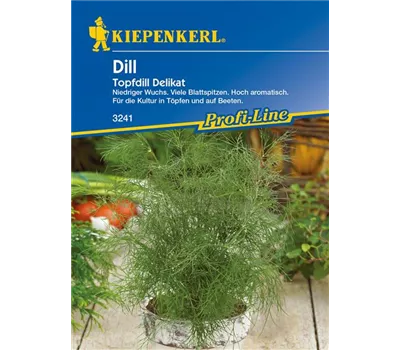Topf-Dill 'Delikat'