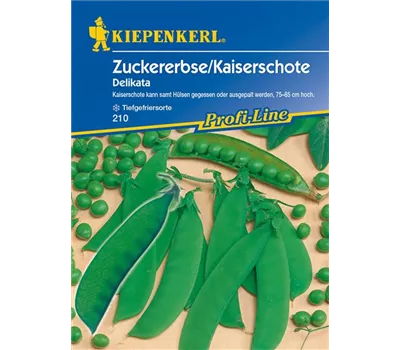Zuckererbse 'Delikata' Zuckererbse 'Delikata'