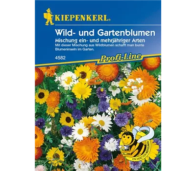 Wildblumen