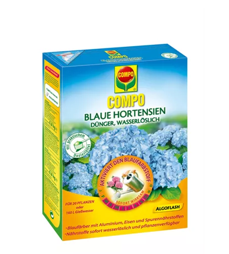 Compo Blaue Hortensien 