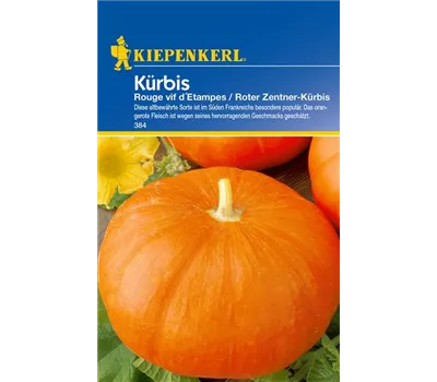 Speise-Kürbis 'Rouge vif d´Etampes'