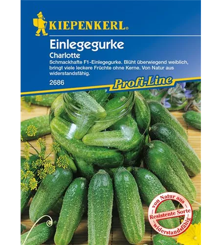 Einlege-Gurke 'Charlotte F1'