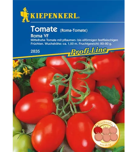 Buschtomate 'Roma'