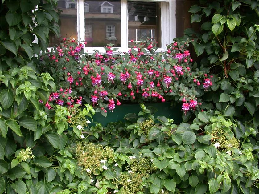 wpc sichtschutz mit blumenkasten en.casa Pflanzkasten Heerde – Sichtschutz für Balkon & Garten main image 0