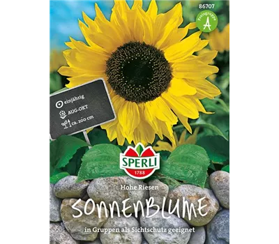 Sonnenblume 'Hohe Riesen'