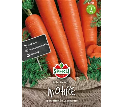 Möhre 'Rote Riesen 2'