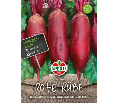 Rote Rübe 'Forono'
