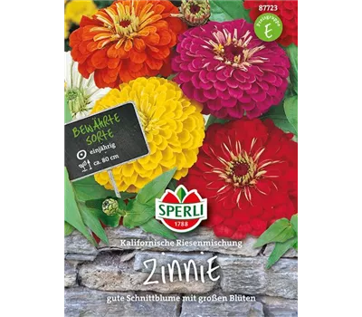 Garten-Zinnie 'Kalifornische Riesesn'