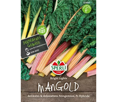 Blatt-Mangold 'Bright Lights' Blatt-Mangold 'Bright Lights'