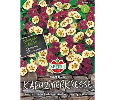 Kleine Kapuzinerkresse 'Night and Day'