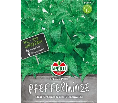 Pfefferminze 'Pfeffi'