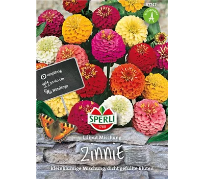 Garten-Zinnie 'Liliput'