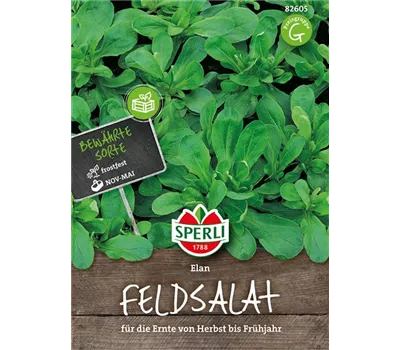 Feldsalat 'Elan' Feldsalat 'Elan'