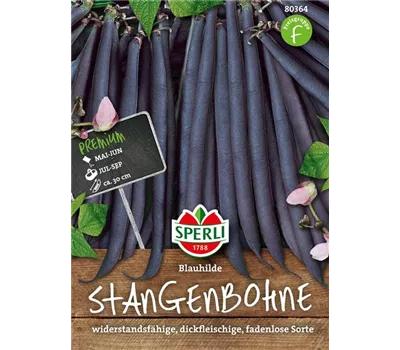 Stangen-Bohne 'Blauhilde'