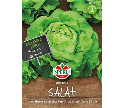 Kopfsalat 'Attraktion'