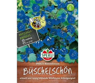 Büschelschön Büschelschön