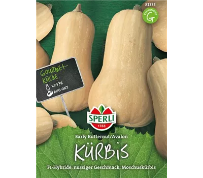 Butternuss-Kürbis 'Avalon'