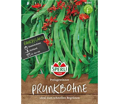 Prunk-Bohne 'Preisgewinner' Prunk-Bohne 'Preisgewinner'
