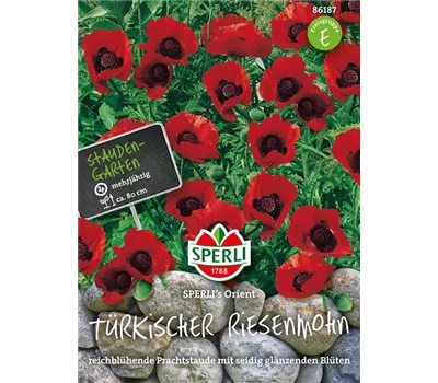 Türkischer Riesenmohn 'Orient'