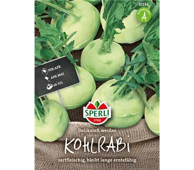 Kohlrabi 'Weißer Delikateß'
