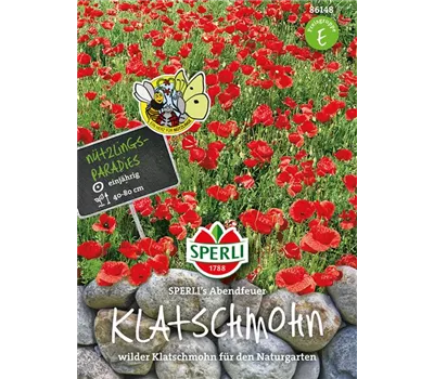 Klatsch-Mohn 'Abendfeuer'