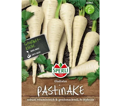 Pastinake 'Gladiator F1'