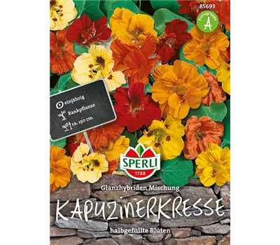 Kapuzinerkresse 'Glanzhybriden Mischung'