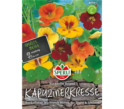 Kapuzinerkresse 'Rankender Roland'