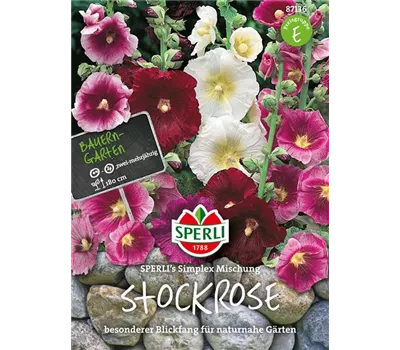 Einfachblühende Stockrose 'Simplex'