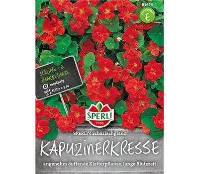 Kapuzinerkresse 'Scharlachglanz'