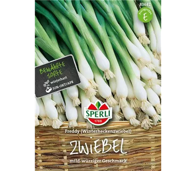 Winterzwiebel 'Freddy' Winterzwiebel 'Freddy'
