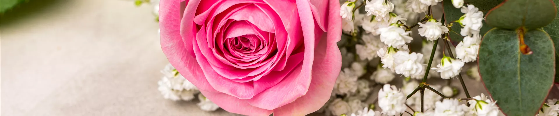 Rosen mit Schleierkraut Rosen mit Schleierkraut