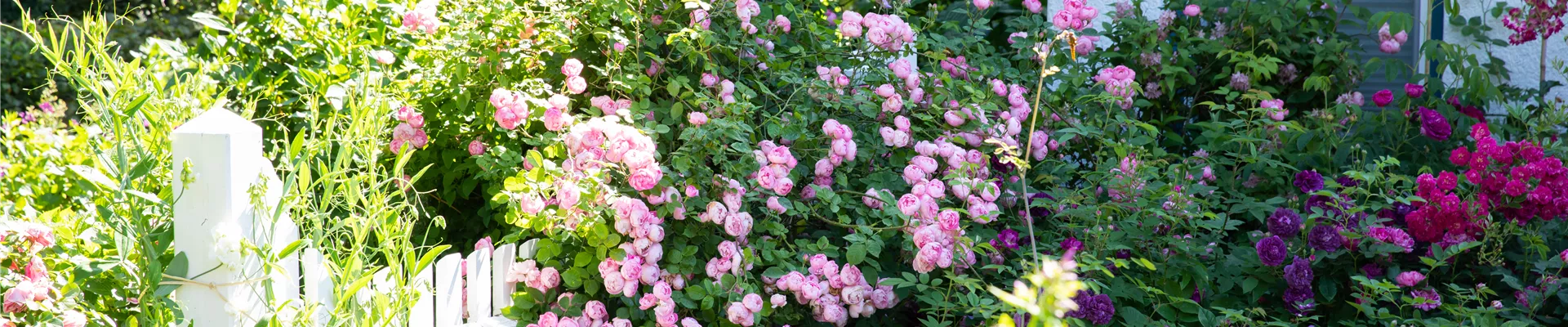 Gartenambiente Gartenambiente