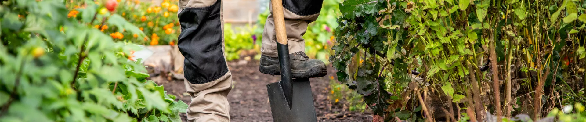 Gartengeräte - Spaten Gartengeräte - Spaten