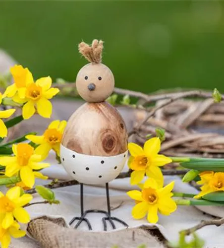 Die bunte Blütenpracht der frühblühenden Pflanzen zu Ostern 