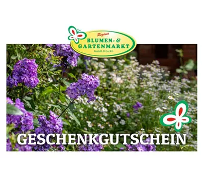 Gutschein Gutschein