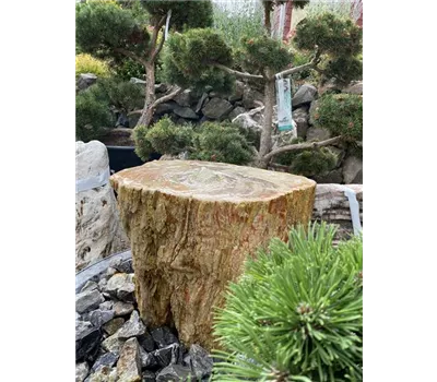 Quellstein mit Pumpensystem  Quellstein mit Pumpensystem