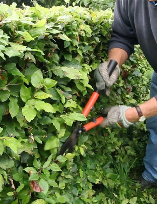 Schneidwerkzeuge und Zubehör