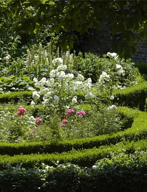 Cottage Garden: Englisches Flair im eigenen Garten
