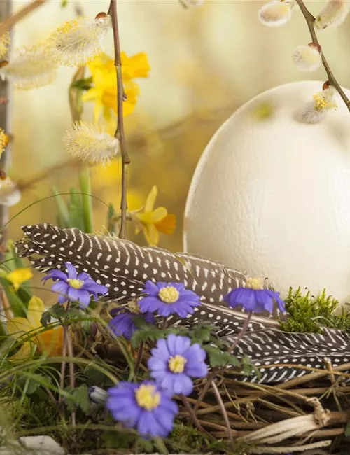 Das Garten-Paradies für Osterhase und Co.