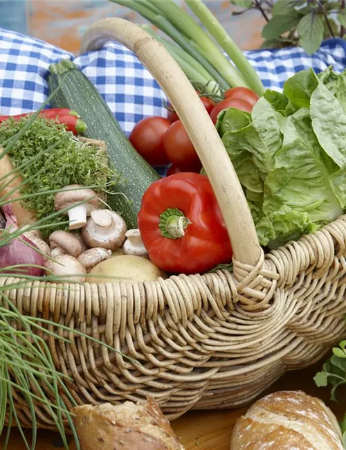 Das Pflanzen von Gemüse 