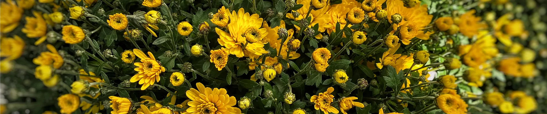 Foto 03.09.21, 10 38 11