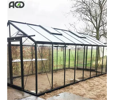 Aktions-Gewächshaus R308 Black