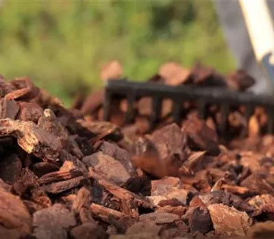 VDG Pinienrinde  VDG Pinienrinde