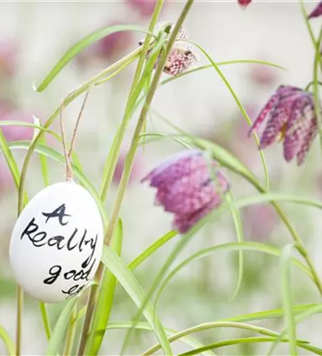 Der Garten für den Osterhasen – ein Frühlingsparadies!