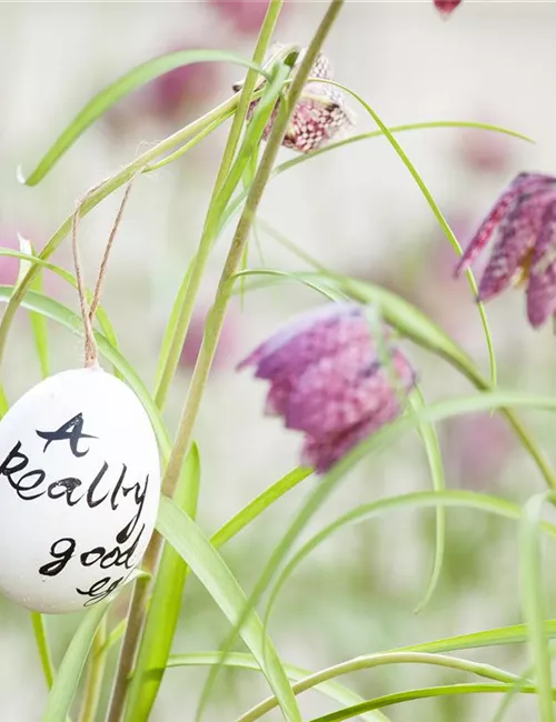 Der Garten für den Osterhasen – ein Frühlingsparadies!