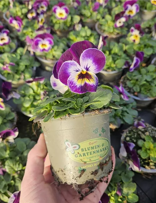 Umweltschutz Umweltschutz