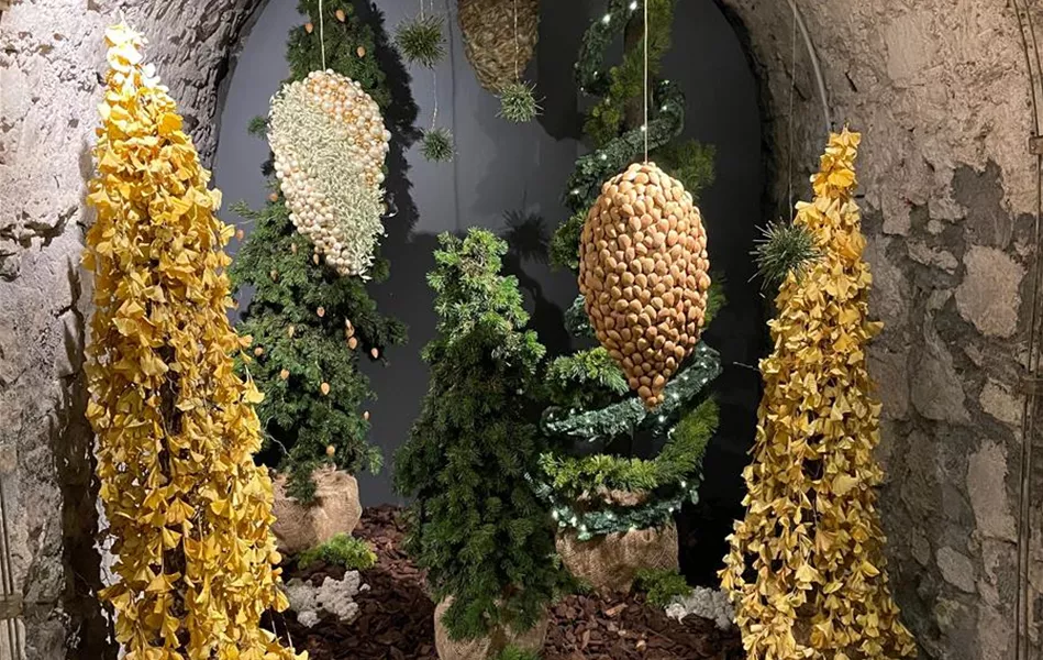 WhatsApp Bild 2025-12-02 um 09.39.24_8c4485e4.jpg